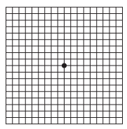 AmslwerGridNormalVision